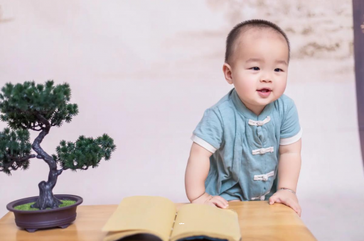 睢县可爱的企鹅宝宝